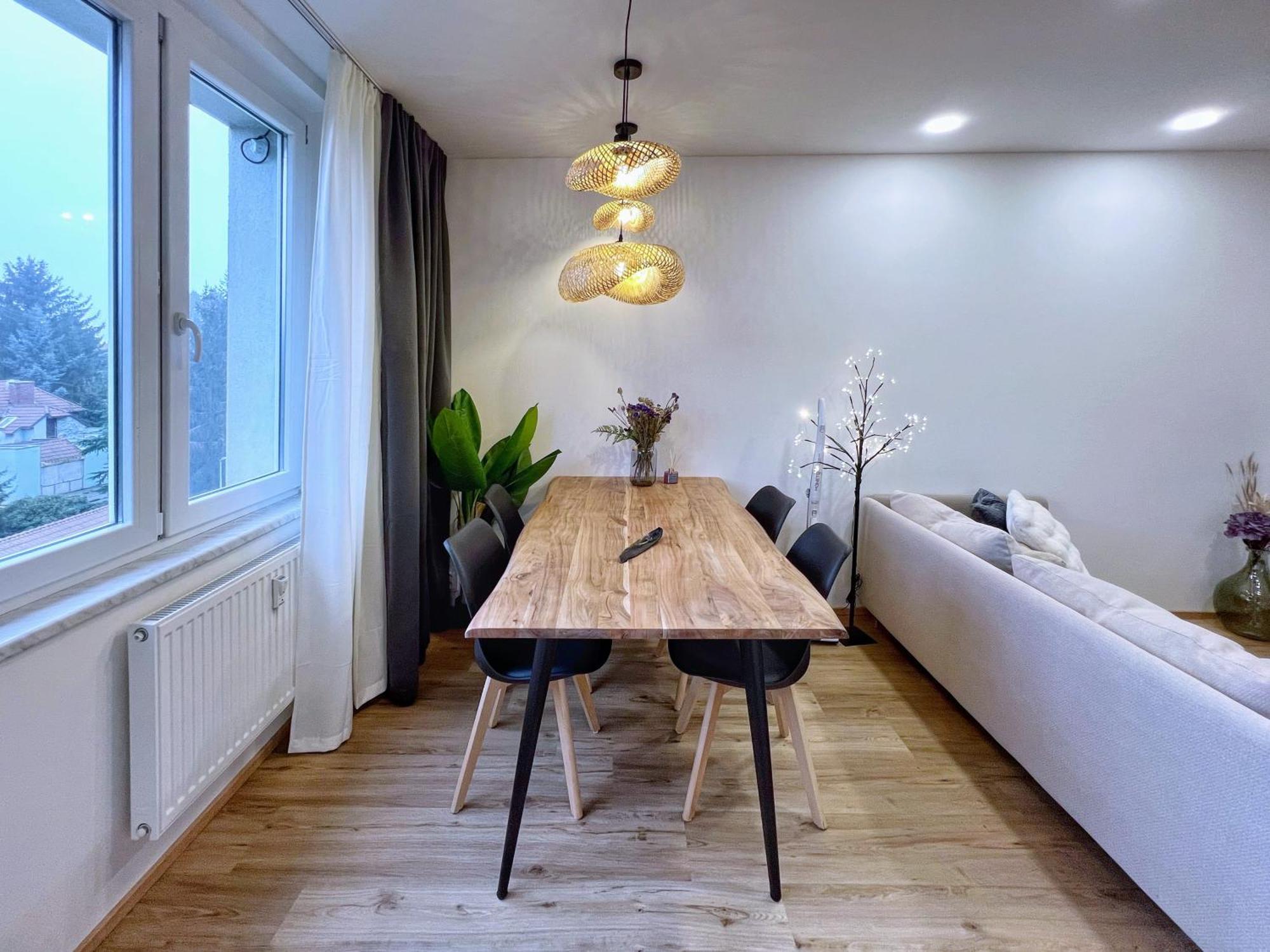 Apartment Jana's Wow Apt, 3 Room, Free Parking, 15'airpt, 25'city *